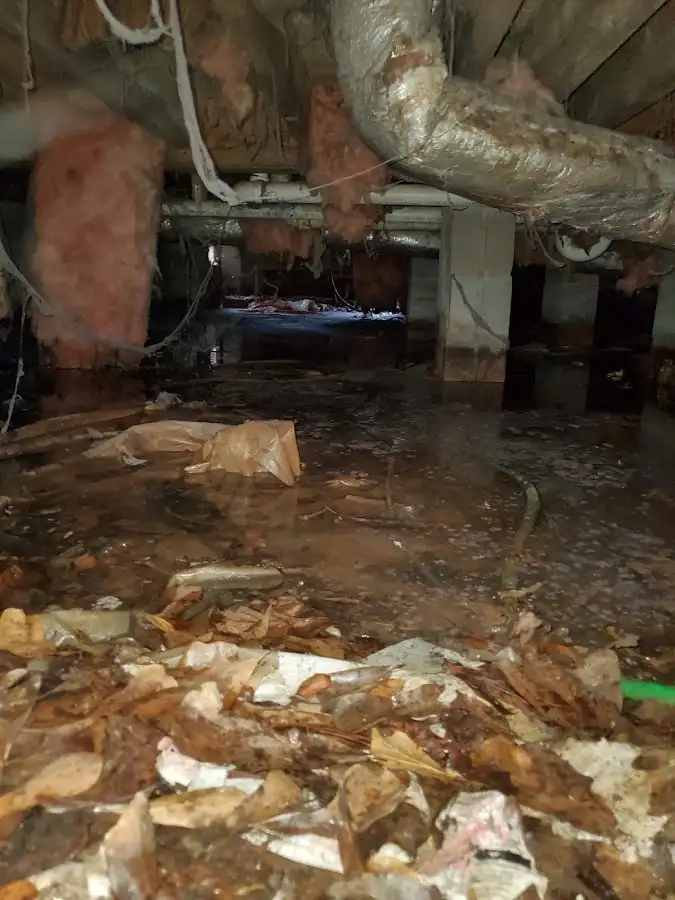 Crawl space flood assessment for Commercial Water Damage Restoration in St. Joseph
